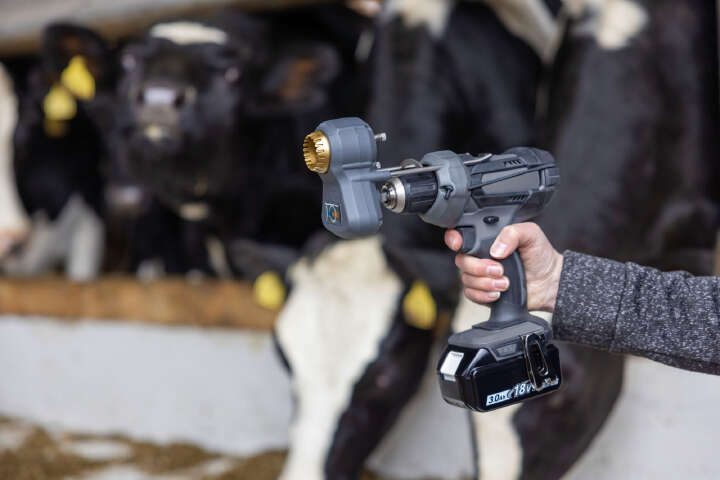 SHOOF Kuhschwanztrimmer TailWell Titanium